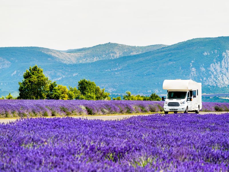 lescamping-cars.com - Le site de référence pour tout savoir sur les camping-cars et fourgons aménagés
