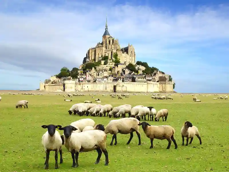 lescamping-cars.com - Le site de référence pour tout savoir sur les camping-cars et fourgons aménagés